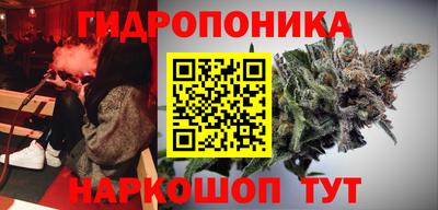 гашик Бузулук