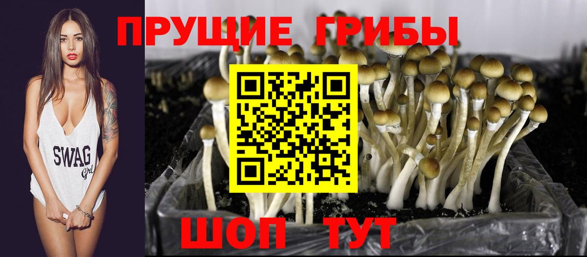Галлюциногенные грибы Cubensis Самара
