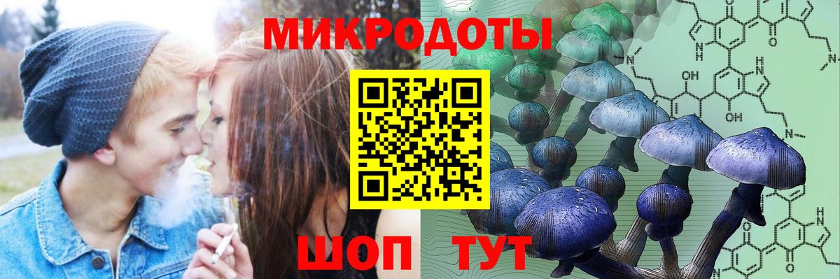 Самара  Галлюциногенные грибы GOLDEN TEACHER  Галлюциногенные грибы Psilocybine cubensis  Вход с VPN 
